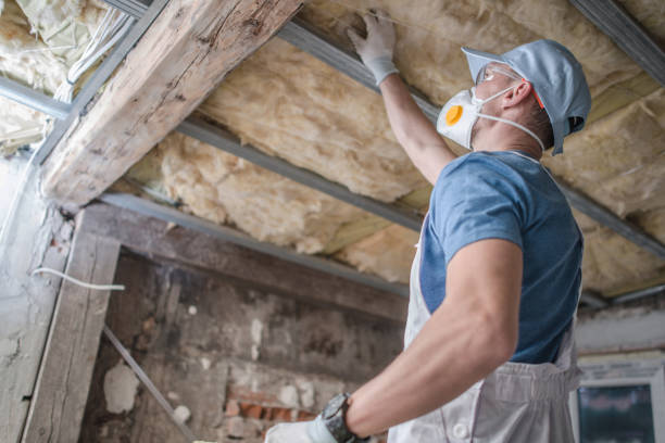 Best Insulation Installation Services in Elim, PA
